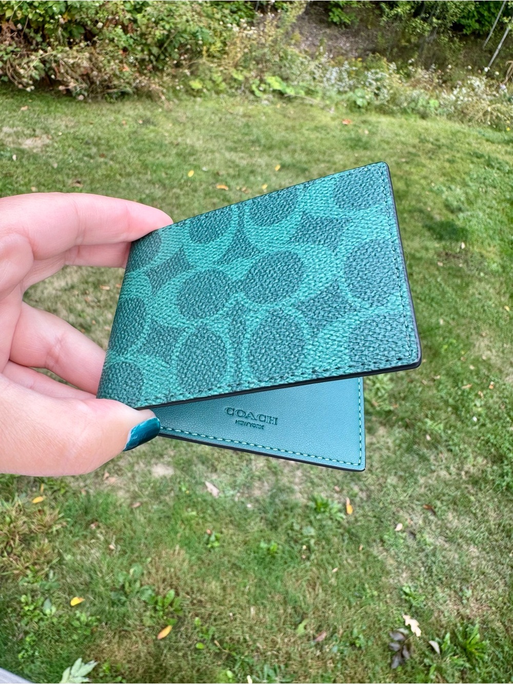 COACH Signature Card Case in Sea Green